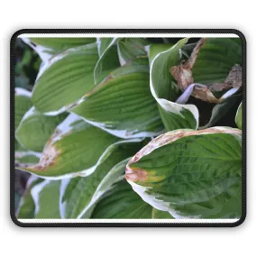 Green Leaves Gaming Mouse Pad
