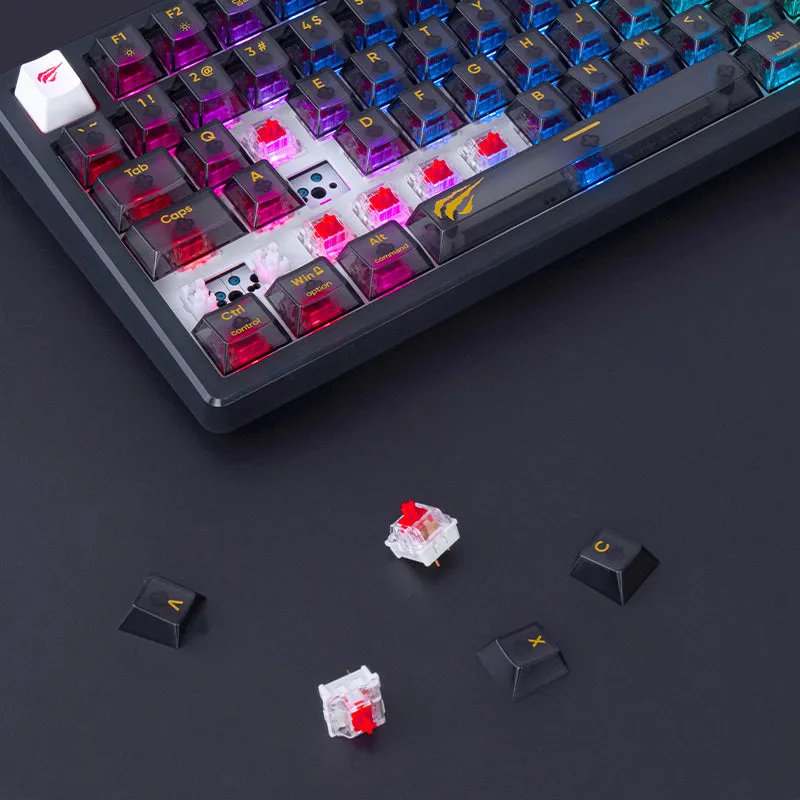 HAVIT KB875L Fully Transparent Backlit Mechanical Gaming Keyboard