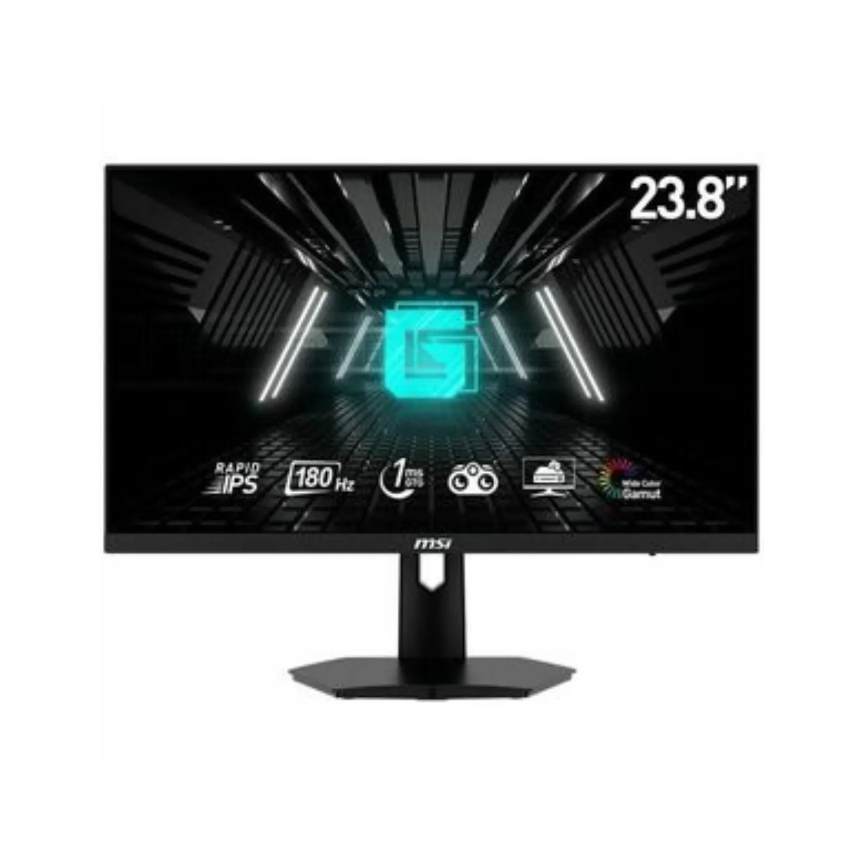 MSI E2 24" Class Full HD Gaming Monitor