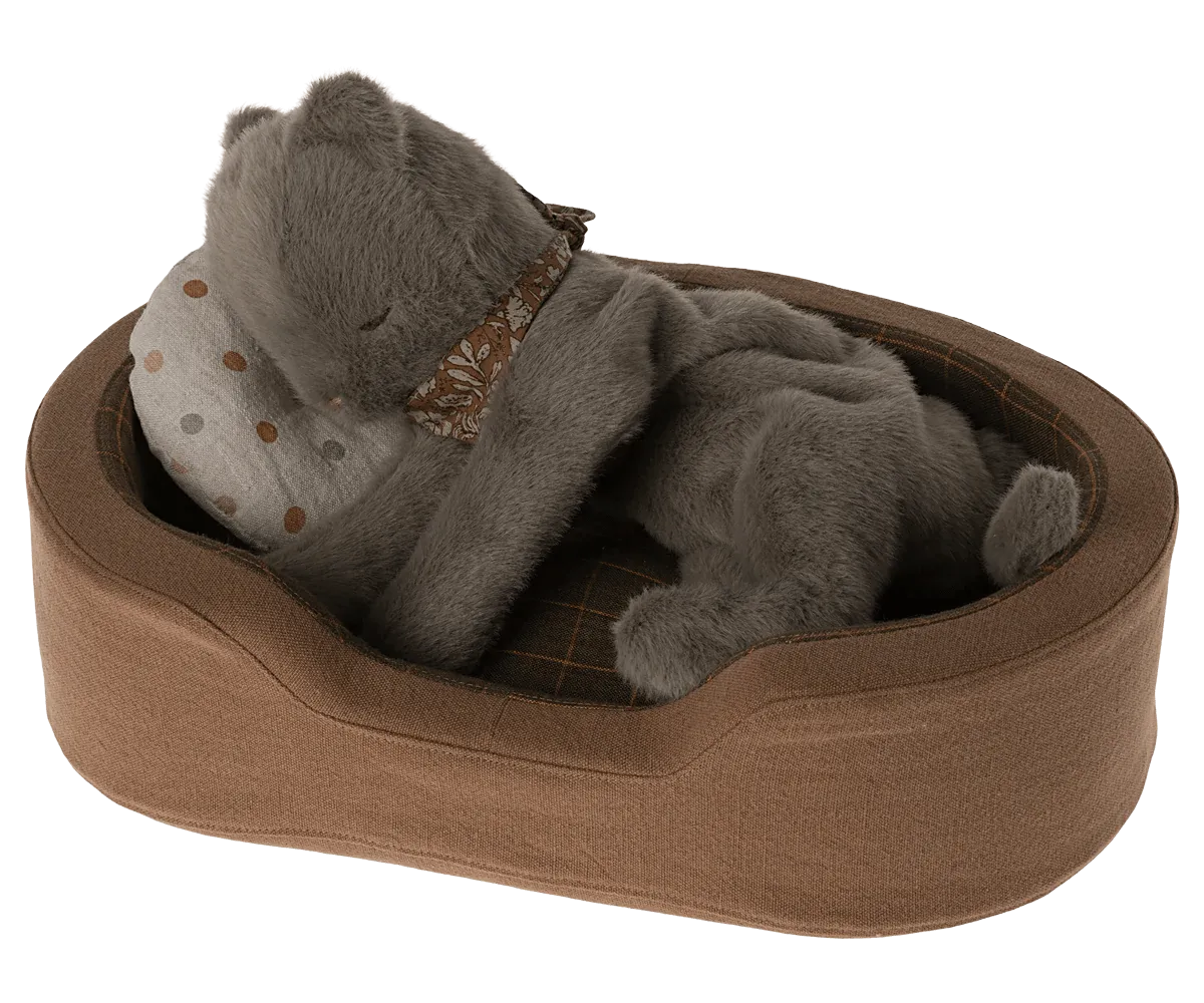 Plush Kitten, Medium - Earth Grey