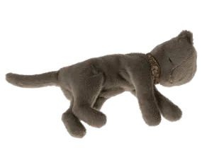 Plush Kitten, Medium - Earth Grey