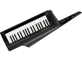 RK-100S 2 - Keytar