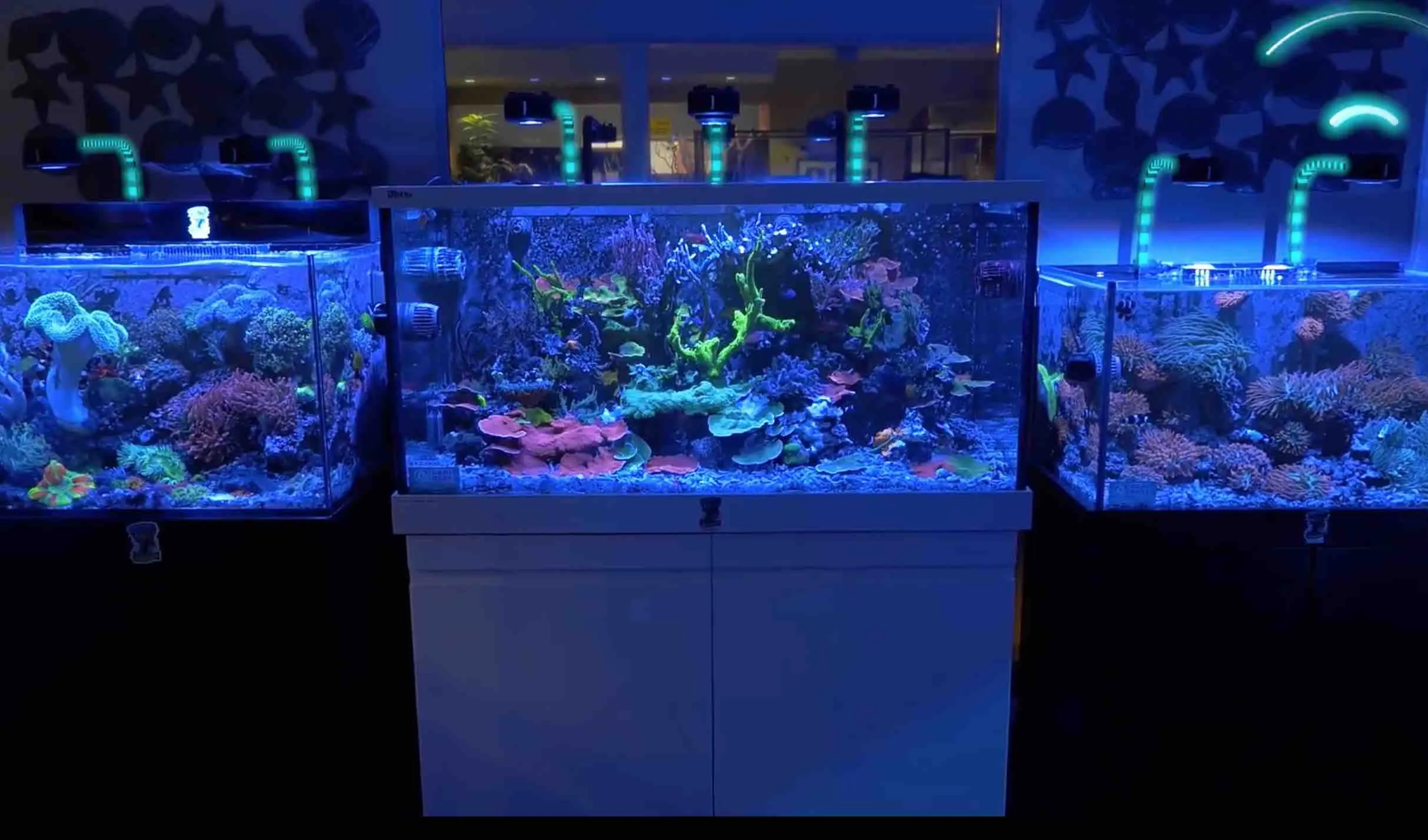 WiFi Wireless Lighting Dongle - Kessil